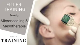 Level 5 -  FILLERTRAINING - Microneedling & Mesotherapie - Botox & Fillerkurse f&uuml;r &Auml;rzte