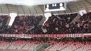 SSC Bari - AS Cittadella: 3-2 ENTUSIASMO IN CURVA NORD I TIFOSI CANTANO 🎶FORZA BARI ALÈ 🎶