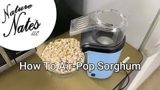How To Air Pop Sorghum