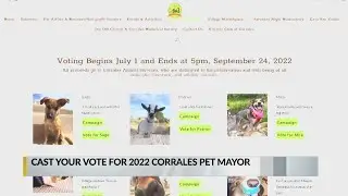 Cast your vote for 2022 Corrales pet mayor