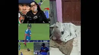 #India versus New Zealand 4th T20 highlights #ABC cric0#trending video#top viral video