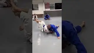 Brazilian Jiu-Jitsu technique: Deep half guard threat #bjj #deephalfguard #kneecut