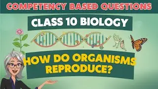 COMPETENCY BASED QUESTIONS PART 5 Biology | SCIENCE CLASS 10