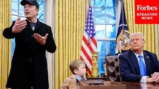 Elon Musk: This DOGE Treasury Reform Is 'So Basic That You Can't Believe It Doesn't Exist Already'