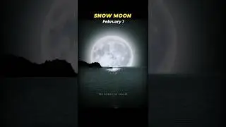 Astronomical Events in February 2026 🌌
