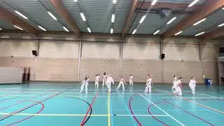 DANSSTAGE 2023 - GROEP 4 - WINGS