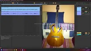 Ovation Celebrity Elite CE44C-4A-G - Premier enregistrement