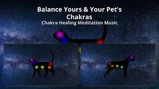 13 Minute Pet Chakra Balancing & Healing | Relax & Heal