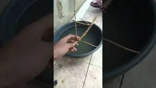 perhatikan tes bambu petuk asli ! #shorts