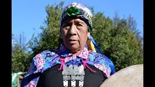 Ülkantun mapuche de KIMCHE NORMA MARÍA LIEMPI COLIPI 