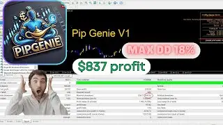 Pip Genie V1 MT4 EA | Unlimited Lifetime Access | Powerful Forex Trading Robot