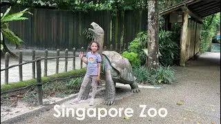 Singapore Zoo