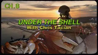 Barry Can't Swim - 'Dance of the Crab' (Official Visualiser)