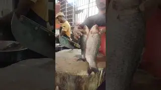 Indian rohu fish cutting skill