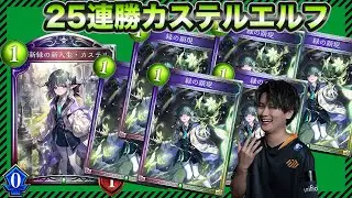 25連勝カステルエルフ！ナーフ後の覇権デッキはこれ！