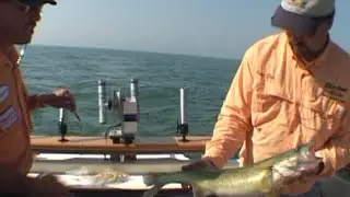 Walleye Trolling on Lake Erie