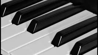 Edwan Permich Tropical Official Music