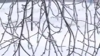 Vilijampolės kvartalas