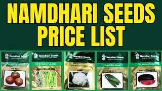 Namdhari Seeds Price List 2024 in India | Tomato, Chilli, Cauliflower, Cabbage, Brinjal, Bhindi, etc