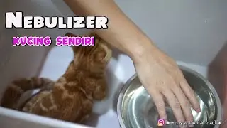LILI DI UAP BIAR PERNAFASANNYA LEGA