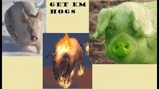 Hogs of War Live Stream || Dawn of Titans