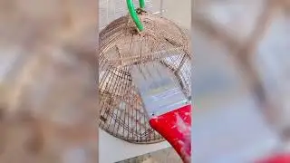 @ part 1 bird cage decoration #🙂🌷