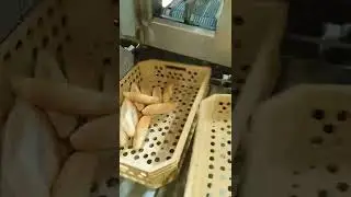 Работа на пекарне в Чехии