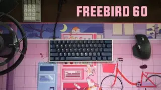 Freebird60 Sound Test