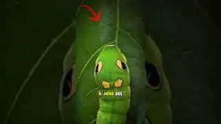 🐛✨ Las orugas m&aacute;s sorprendentes y extra&ntilde;as del mundo