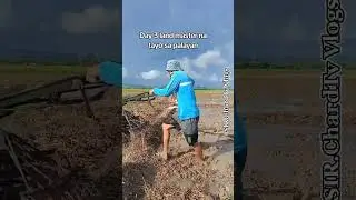 Day 3 land master na tayo sipag at tsaga lang❤️🙏👍#sirchardtvvlogs #farming #plantingrice