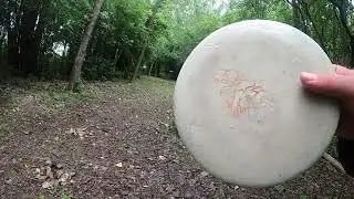 Disc Golf, Summit park in Chicago