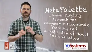 MetaPalette  - mSystems