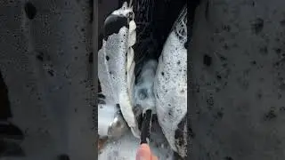 The end 🤢🥴#automobile #cleaningproduct #detailingworldofficial #deepcleaner #cleaning