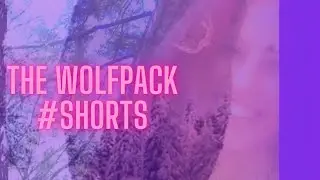 The Wolfpack #Shorts