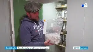 Le Champignon Lorrain sur France 3 !
