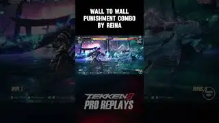 Wall-to-wall punishment combo by Reina #tekken8 #reina #reinaTekken8 #tekken8combo #highdamagecombo