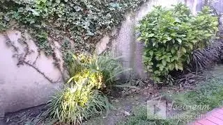 CASA EN VENTA DIAGONAL  76  ENTRE 20 Y 21 , INTERSECCI&Oacute;N CALLE 45