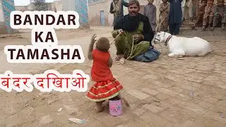 Bandar Ka Tamasha || Bandar ka khail || बंदर