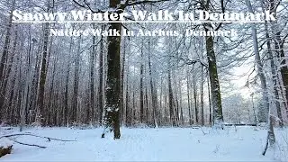 Snowy Winter Walk In Denmark - Nature Walk In Aarhus, Denmark - Scandinavian Walking Tour 4k