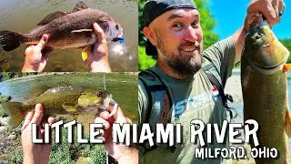 CATCH EM ALL!!! ... in the Little Miami!!  (Milford, Ohio)