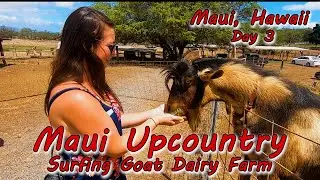Surfing Goats Dairy Farm - Maui, Hawaii