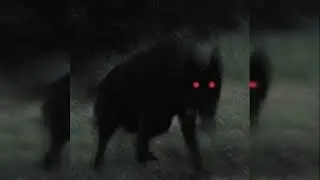 RVPID - CXMVTXSE prod swampkill