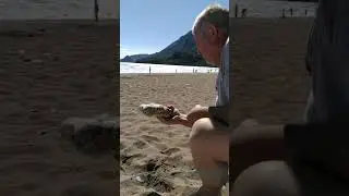 ТРЕНИРОВКИ С КАМНЯМИ! ЖОНГЛИРОВАНИЕ СИДЯ GRIP TRAINING WITH STONES! ONE HAND FLIPPING SEATED