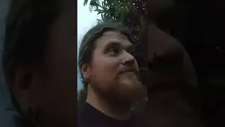 Summerfield Florida Food Forest mini tour July 2 2025