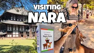Один день в Наре, Япония 🇯🇵 | Кормление оленей в парке Нара