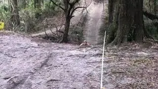 Alafia mtb jump. Kona process 134