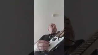Flj&uacute;ga hv&iacute;tu fi&eth;rildin