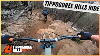 4K Mountain Biking | Tippogoree Hills | George Town&rsquo;s Best Trails