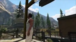 GTA 5   Природа игры