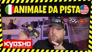🚦HO PROVATO LA 🏎️KYOSHO Mini-Z MR04 CORVETTE C8.R Cromo 20° Anniversario🏎️